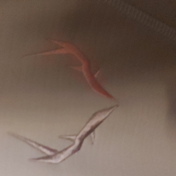 BLACK ANTLER woman's hoodie. Perfect condition. Size L. - Picture 3 of 5